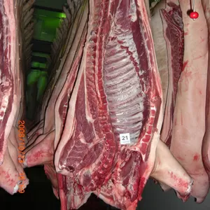 Мясо свинины оптом. Ферма в Брянской области. Доставка.