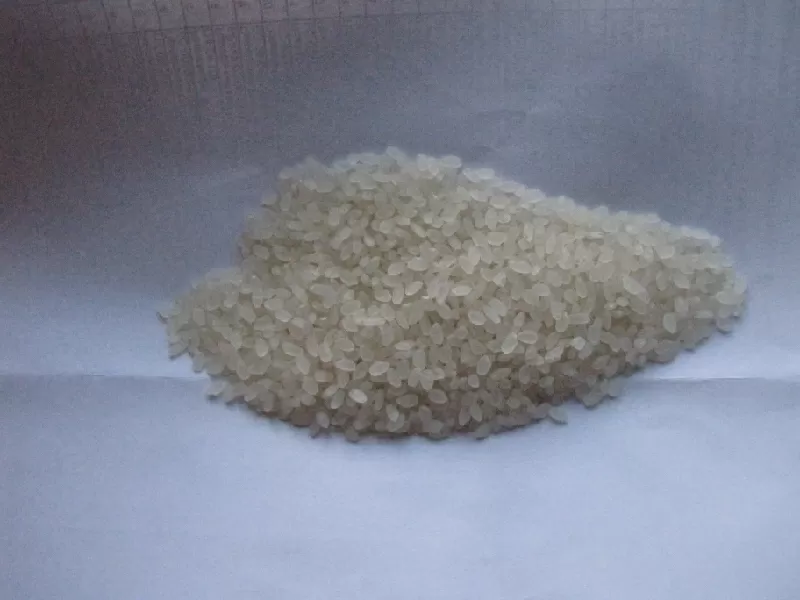 Рис от производителя (круглый)
